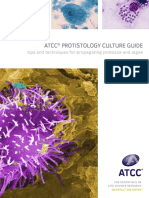 Protistology Culture Guide.pdf
