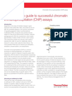 Step-by-Step-Guide-to-Successful-ChIP-Assays.pdf