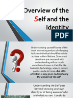 Overview of The Elf and The Identity