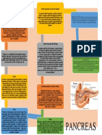 Mapas Conceptual de Pancreas