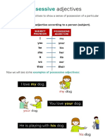 S2-T3 Possessive Adjectives