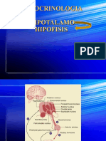 ENDOCRINOLOGIA-hipofisis-