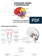 Hemisphere Et Diencephalon