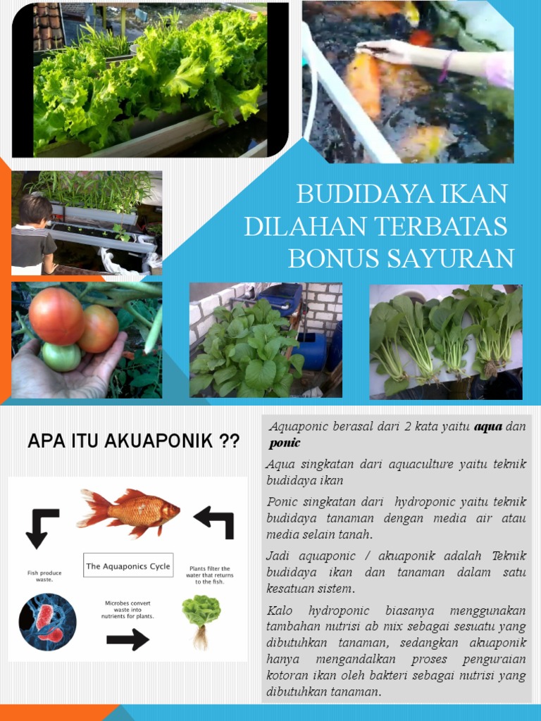 Aquaponik 2 Pdf