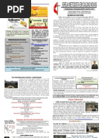 Boletim - IMECAN - 16.01.11