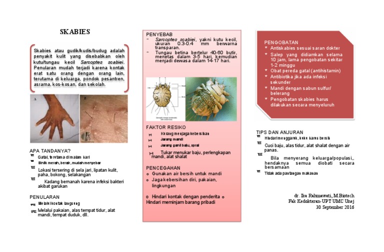Leaflet Scabies PDF | PDF