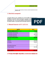 Aplicatie Pozitia Financiara - Final