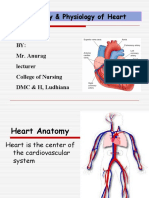 Heart Anatomy & Physiology Guide