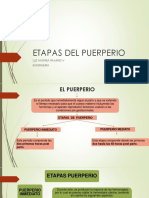 6.1 Etapas Del Puerperio e Infeccion Puerperal PDF