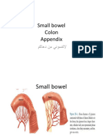 Bowel Summary