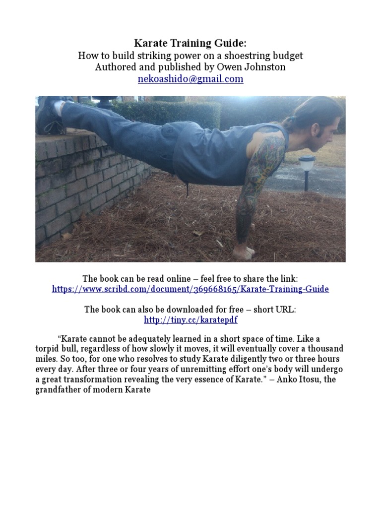 Karate Training Guide PDF | PDF | Sports | Weightlifting