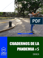 Cuadernos de La Pandemia 5 PDF