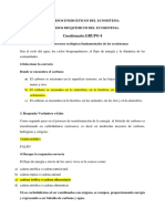 Procesos Energeticos Del Ecosistema