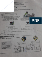 Matematicas Mariana Chingate PDF