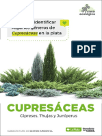 CUPRESÁCEAS.pdf