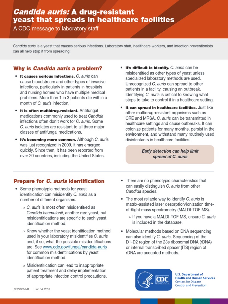 Identifying Candida auris in Healthcare | PDF | Infection | Clinical ...