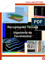 Manual de Yacimientos HALIBURTON.pdf