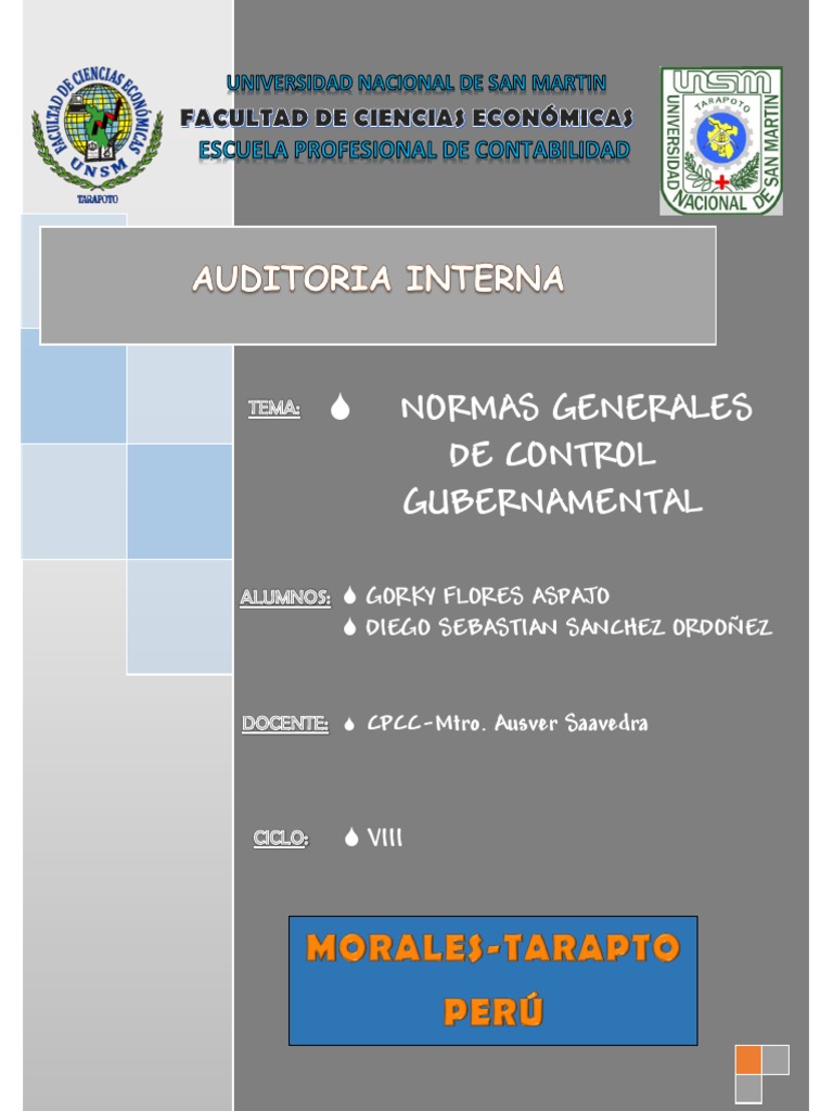 Normas de Control Gubernamental | PDF | Calidad (comercial) | Planificación