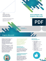 Registro Mercantil, Folleto PDF