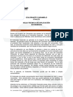 12-Caramelo ficha tecnica-aplicacionBebidas.pdf