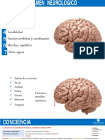 SEMIOLOGIA NEUROLOGICA Pierodiaz