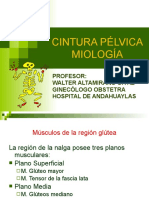 MIOLOGIA DE LA PELVIS UNSAAC  1.pptx