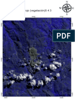 Color infrarrojo (vegetación)5 4 3.pdf