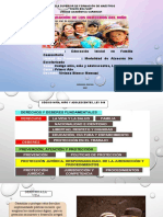 Esstructura de Apoyo Ley 548...