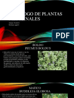 Catalogo de Plantas Medicinales