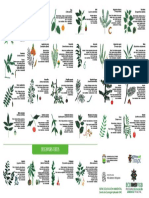 ARBOLES CORDOBA.pdf