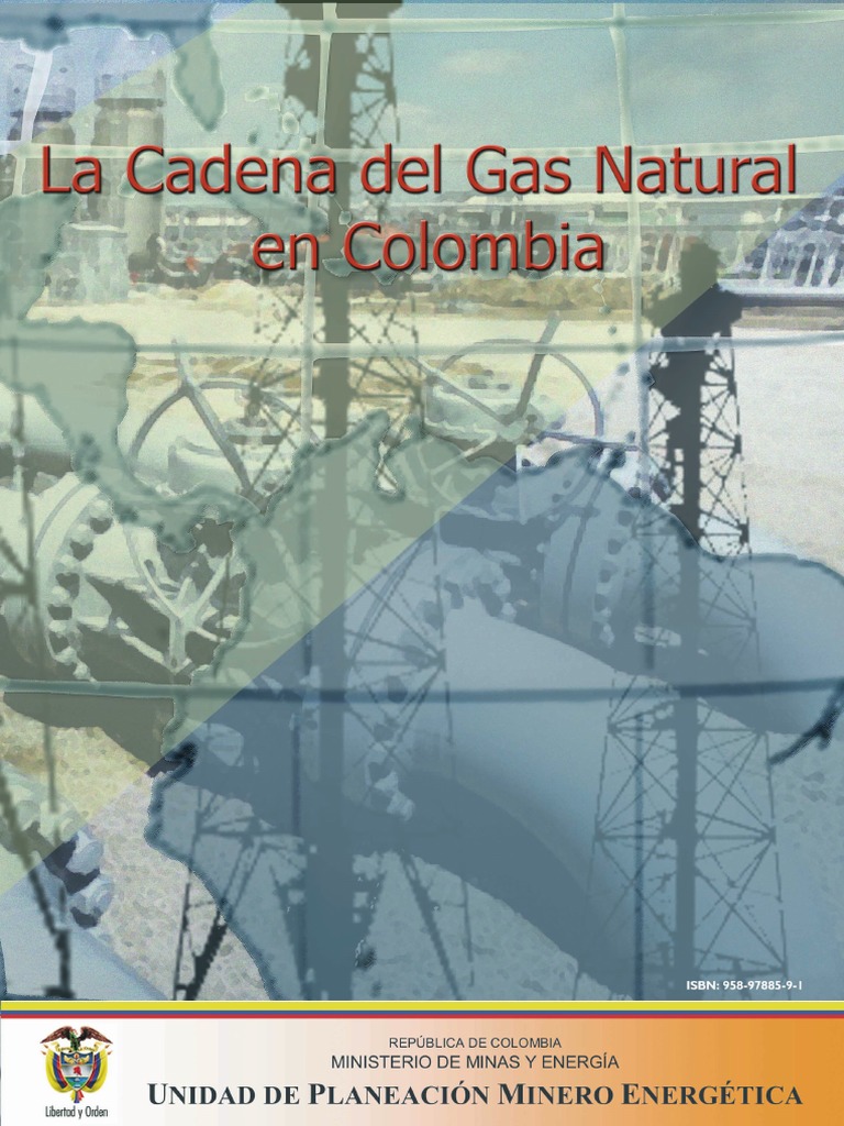 Cadena Del Gas Natural en Colombia | PDF | Consumo mundial de energía ...