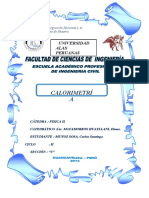caratuladecivil-uap-130719055837-phpapp02-convertido (1).docx