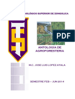 Agroforesteria PDF