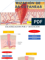 CICATRIZACIÓN DE HERIDAS CUTANEAS