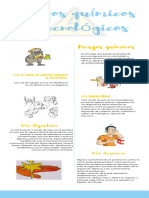 Riesgos Quimicos y Tegnologicos PDF