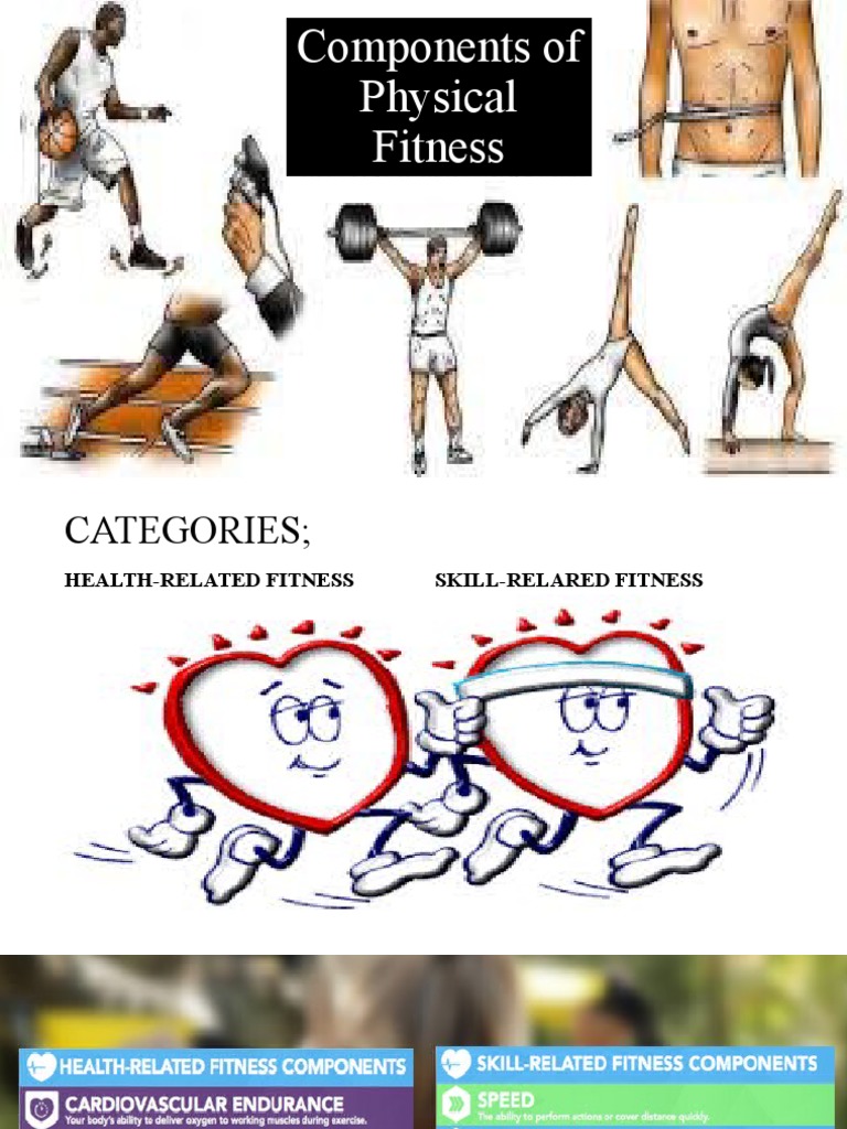 Components of Physical Fitness | PDF | Career & Growth
