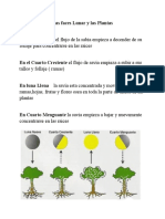 Las Faces Lunar y Las Plantas