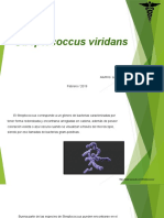 Streptococcus Viridans