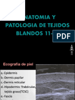 Tejidos Blandos Ecografia PDF