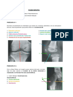 Guía práctica radiografía articulaciones huesos