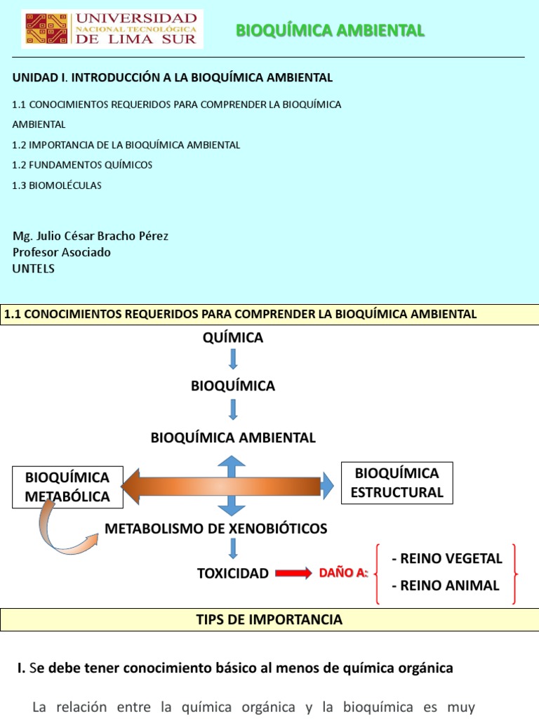Introducción A La Bioquimica Ambiental | PDF | Biomoléculas | Enlace ...