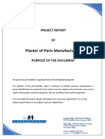 Plaster of Paris Manufacturing Project Report