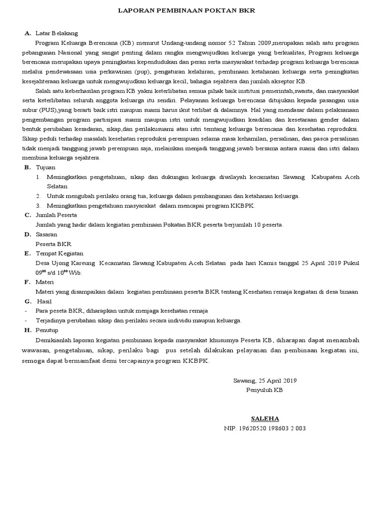 Laporan Pembinaan BKR | PDF
