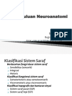 Pendahuluan Neuroanatomi: Bagian Anatomi Fkik-Uin Alauddin Makassar