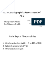 Echocardiographic Assessment of ASD: Chairperson: Assoc. Prof. Naveen Sheikh