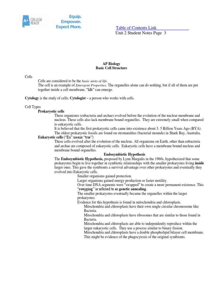 Unit 2 - Cell Structure & Function | Download Free PDF | Endoplasmic ...