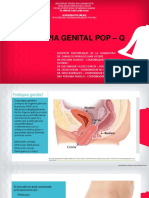 Distopia Genital