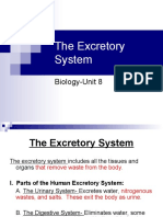 The Excretory System: Biology-Unit 8