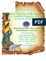 CICLO_DEL_NITROGENO_Y_CALCIO.docx