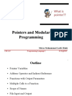Pointers and Modular Programming: Mirza Mohammad Lutfe Elahi